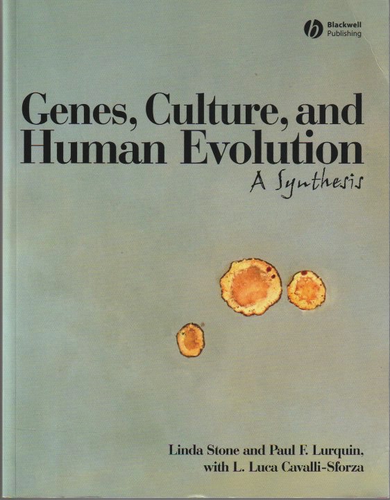 Genes, Culture, and Human Evolution: A Synthesis